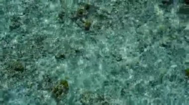 Güneşli tropik deniz manzaralı plaj manzarası berrak lagün ve beyaz kumlu arka plan güneş ışığı
