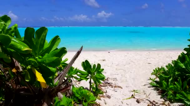 Paisaje soleado de costa marina playa fauna por mar turquesa con fondo de arena blanca cerca de arrecife — Vídeos de Stock