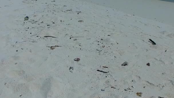 Brede hoek natuur van rustig eiland strand breken door ondiepe zee met wit zand achtergrond in de buurt van zandbank — Stockvideo