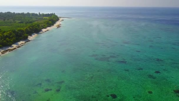 Ciel ensoleillé du paradis bord de mer plage faune par mer claire avec fond sablonneux blanc près des vagues — Video