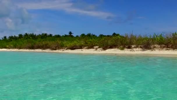 波の近くにきれいな砂の背景を持つ青い海によるエキゾチックなラグーンのビーチの野生生物の晴れ空 — ストック動画