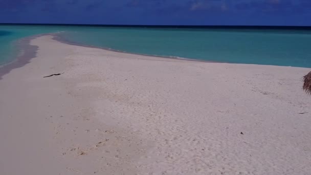 Romantic travel of luxury island beach wildlife by blue water and white sand background near reef — Stock Video