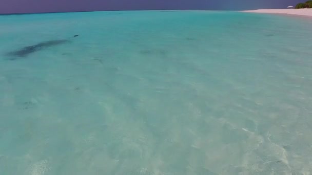 Romantisk natur lugn strand resa med grunt hav med ljus sand bakgrund nära rev — Stockvideo