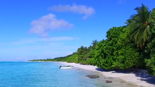 Resumen diurno de relajante viaje a la playa por el océano azul aqua y fondo de arena blanca cerca de las palmeras — Vídeos de Stock