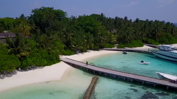 Scenario soleggiato di esotico viaggio sulla spiaggia in riva al mare da acqua blu con sfondo di sabbia bianca vicino alle palme — Video Stock