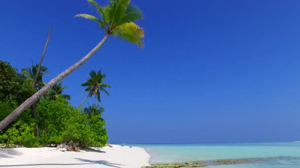 휴양지 근처에 맑은 물과 깨끗 한 모래 배경으로 호화 로운 섬 해변의 순니 파노라마 — 비디오