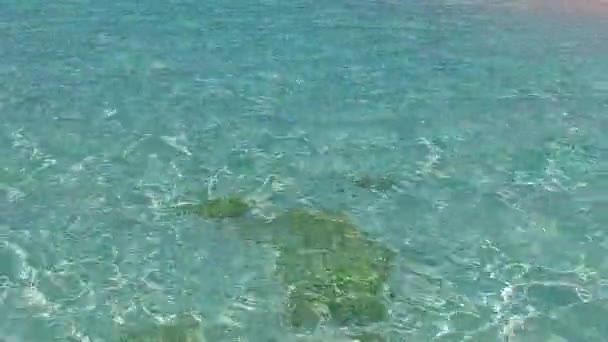 Espace de copie ciel de belle lagune plage aventure par l'eau transparente avec fond sablonneux blanc près des paumes — Video