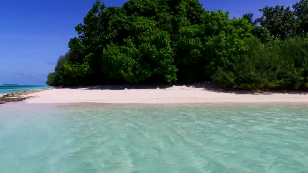 Sakin sahil saatinin güneşli deniz manzarası mavi su kenarında ve palmiyelerin yanında beyaz kumlu arka plan — Stok video