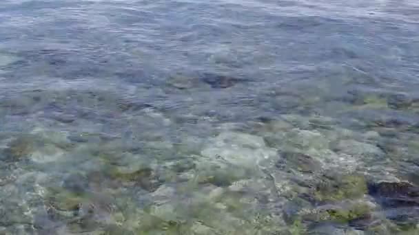 Struttura estiva dell'isola tropicale vacanza al mare da laguna verde blu e sfondo sabbioso pulito vicino alle onde — Video Stock