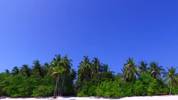 Copia spazio viaggio di tranquilla spiaggia turistica fauna selvatica da acqua blu e sabbia bianca sfondo vicino banco di sabbia — Video Stock