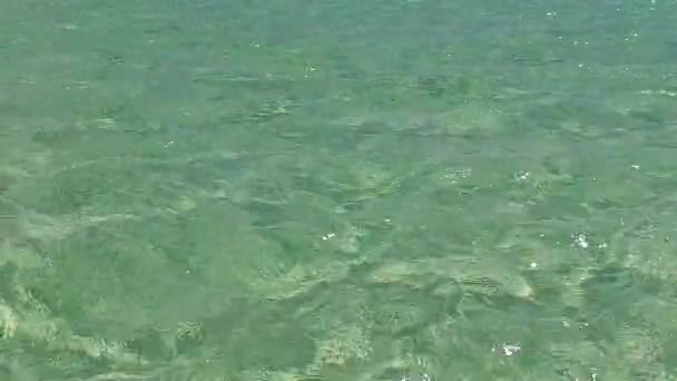 棕榈附近白沙背景蓝海平静海滨之旅的广角性 — 图库视频影像