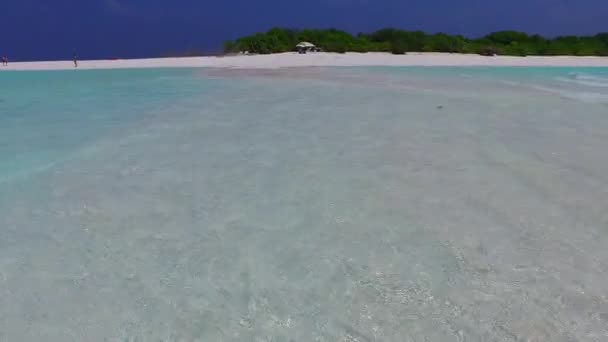 Sunny příroda relaxační záliv pláž volně žijících živočichů jasným oceánem a jasným pískem pozadí v blízkosti surfování — Stock video