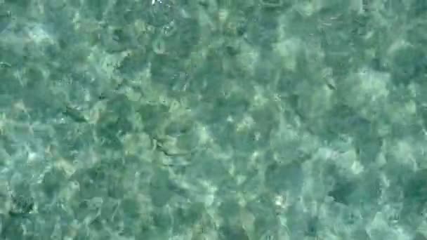 Romantická příroda tropického pobřeží pláž cesta po modrém moři s bílým pískem pozadí v blízkosti písečného břehu — Stock video