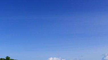 Cennet turizmini kapatın. Şeffaf okyanus kıyısındaki sahil yaban hayatı ve dalgaların yakınındaki kumlu arka plan.