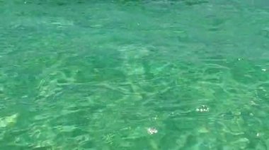 Mavi okyanus kıyısındaki tropikal sahil yaban hayatının güneşli soyutlaması ve güneş doğduktan sonra beyaz kumlu arka plan