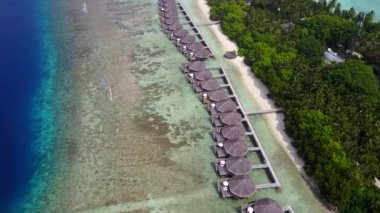 Açık okyanus kıyısındaki deniz kıyısının soyut yaz gezisi, palmiyelerin yakınındaki parlak kum arka planıyla.