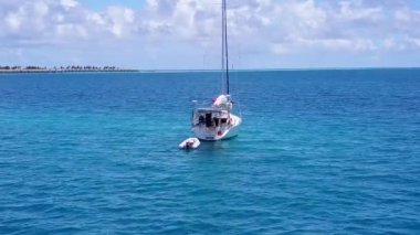 Mavi okyanus kıyısındaki dinlendirici sahil saatinin gündüz deniz manzarası, palmiyelerin yanında beyaz kum arka planı.