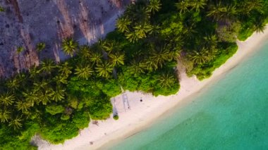 Güzel adanın geniş açı manzarası. Mavi deniz kenarında, palmiyelerin yanında beyaz kumlu arka plan.