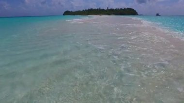 Mavi yeşil su ve resif yakınlarındaki beyaz kum arka planındaki sakin sahil yaban hayatının gündüz manzarası