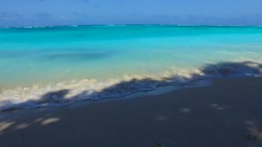 Deniz adası sahil yaban hayatının güneşli turizmi. Mavi okyanus kıyısında. Kum kenarında beyaz kum arka planda.