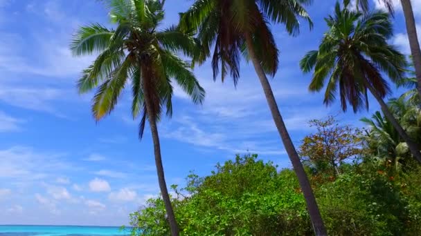 日の出後の青い海と白い砂の背景による熱帯海岸線の休暇の空の風景 — ストック動画