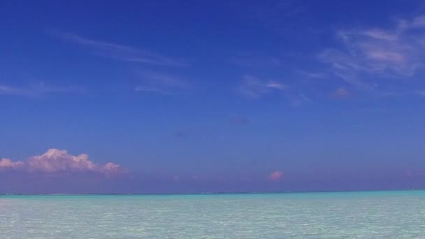 Alam yang hangat dari surga wisata pantai satwa liar oleh laut dangkal dengan latar belakang berpasir putih dekat gelombang — Stok Video