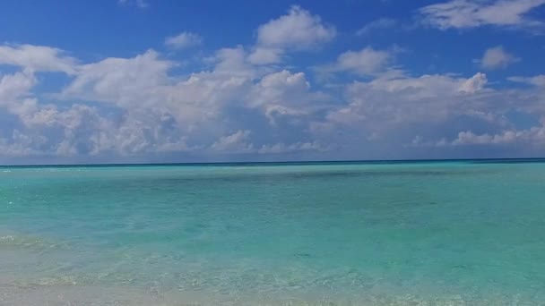 Deniz adasının yaz gökyüzü yaban hayatı şeffaf okyanus ve güneş doğduktan sonra kumlu arka plan — Stok video