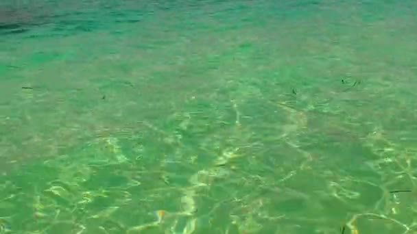 棕榈附近蓝绿色大海与白沙背景下奇异湾海滩时间的空间纹理复制 — 图库视频影像
