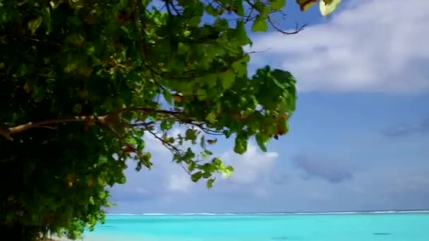 Tropikal ada kumsalının ılık manzarası Mavi su ve beyaz kum arka planda güneş ışığı — Stok video