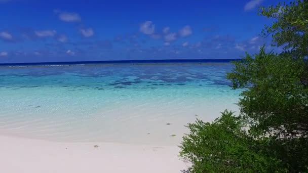 Kopie der Raumfahrt von idyllischen touristischen Strand Tierwelt durch aqua-blaue Lagune und weißen Sandhintergrund im Sonnenlicht — Stockvideo