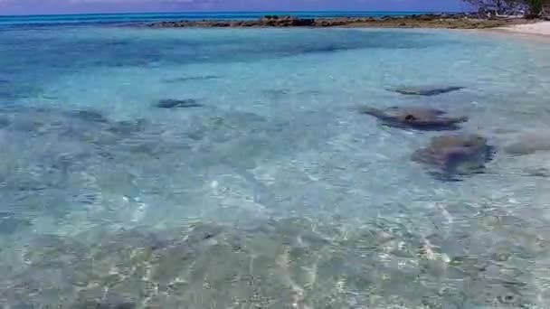 Dagtoerisme van tropisch eiland strand reis door blauwe lagune met wit zand achtergrond in de buurt van zandbank — Stockvideo