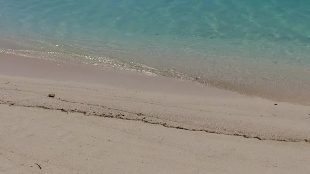 Romantisch panorama van idyllische kustlijn strand breken door blauw groene zee met wit zand achtergrond in de buurt palmen — Stockvideo