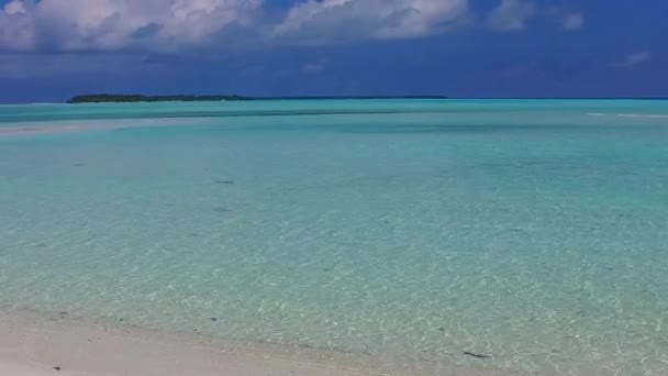 Resumen diurno de la tranquila vida silvestre de playa del complejo por el océano azul y el fondo de arena blanca cerca del banco de arena — Vídeo de stock