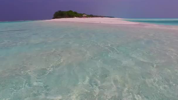 砂州の近くに明るい砂の背景を持つ青い海による完璧な海岸線のビーチの野生生物の昼間の性質 — ストック動画