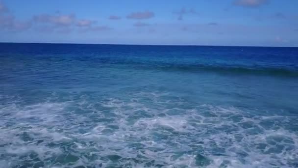 Drohnenpanorama eines wunderschönen Lagunenstrandes mit Wildtieren an einer klaren Lagune mit weißem Sandhintergrund — Stockvideo