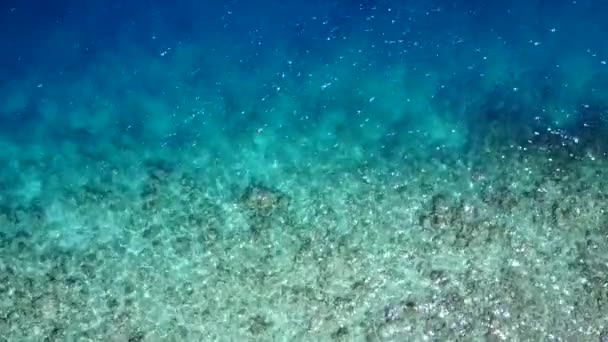 Varm turism av exotisk strand strand semester med blå hav och vit sand bakgrund nära surfa — Stockvideo