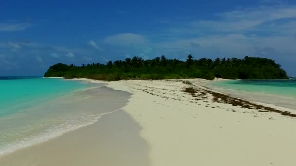 Mavi okyanus kıyısında güneşli göl tatili ve palmiyelerin yakınındaki parlak kum arka planı. — Stok video