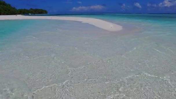 Viaggio estivo della costa paradisiaca Viaggio in spiaggia con acque poco profonde e sabbia chiara vicino alle palme — Video Stock