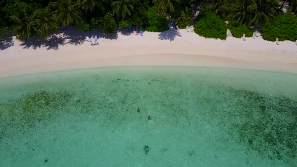 Aerial panorama of luxury shore beach lifestyle by aqua blue ocean with white sandy background — Stock Video