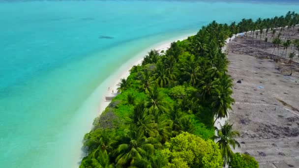 Szeroki kąt podróży doskonałego czasu plaży wybrzeża przez turkusowy ocean z białym tle piasku w pobliżu palm — Wideo stockowe