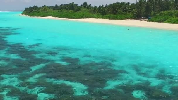 Дневной абстракт идиллической береговой линии пляжной дикой природы у голубой лагуны с белым песчаным фоном рядом с пальмами — стоковое видео