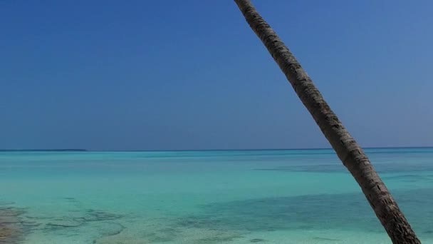 Textura de verão de viagem de praia paradisíaca ilha por mar claro com fundo arenoso branco perto de ondas — Vídeo de Stock