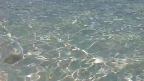 Słoneczna faktura raju wyspa plaża wakacje nad błękitnym morzem i czyste, piaszczyste tło w pobliżu rafy — Wideo stockowe