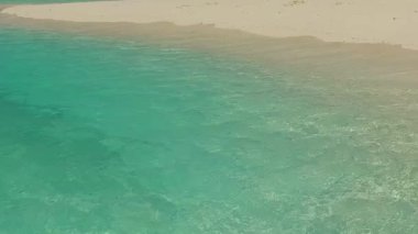 Cennetin geniş açı turizmi sahil kıyısı yaban hayatı şeffaf okyanus ve resifin yakınındaki beyaz kum arka planı