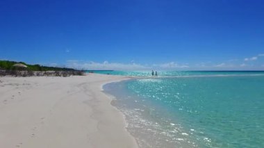 Mükemmel sahil yaban hayatının güneşli yolculuğu şeffaf deniz kenarında dalgaların yakınında beyaz kum arka planıyla