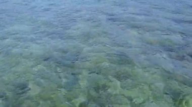 Mükemmel sahil plaj macerasının boş manzarası. Palmiyelerin yakınındaki beyaz kum arka planına sahip, mavi bir göl.