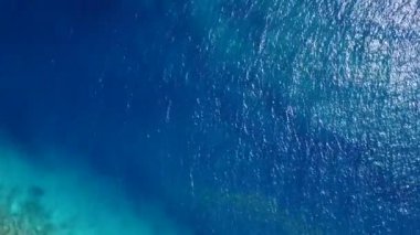 Turkuaz deniz ve palmiyelerin yakınındaki beyaz kumlu arka planda deniz kıyısı gezisi.