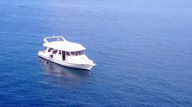 Cennetin güneşli gökyüzü sahil yaban hayatı turkuaz okyanus tarafından kumsalın yakınındaki beyaz kum arka planıyla