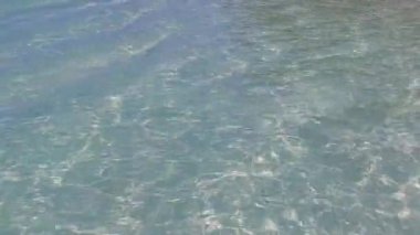 Güneşli deniz kıyısı seyahatinin güneşli manzarası sığ okyanus boyunca beyaz kumlu arka plan güneş ışığıyla