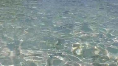 Turkuaz deniz kıyısında, kumsalın yakınındaki beyaz kumdan oluşan mükemmel göl manzarası.